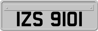 IZS9101