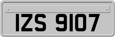 IZS9107
