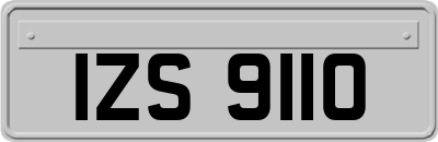 IZS9110