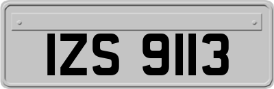 IZS9113