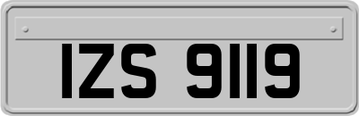 IZS9119
