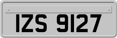 IZS9127