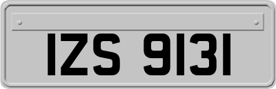 IZS9131