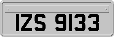 IZS9133