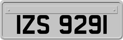 IZS9291