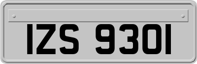IZS9301