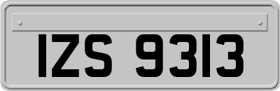 IZS9313