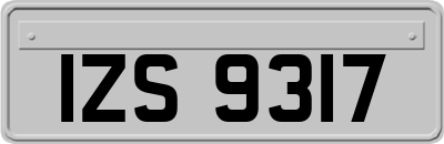 IZS9317