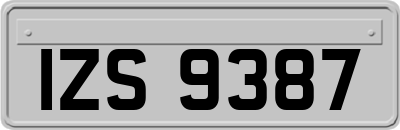 IZS9387