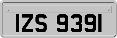 IZS9391