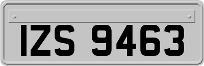IZS9463