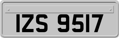 IZS9517