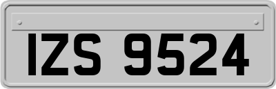 IZS9524