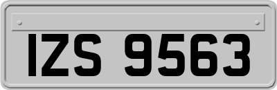IZS9563