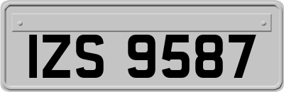 IZS9587