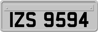IZS9594