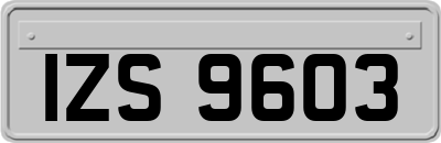 IZS9603