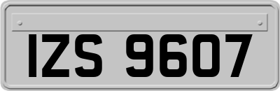 IZS9607