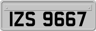 IZS9667
