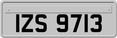 IZS9713