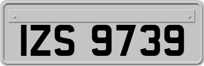 IZS9739