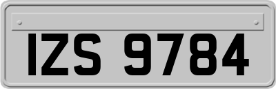 IZS9784