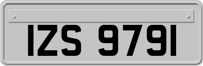 IZS9791