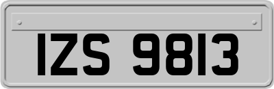 IZS9813