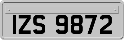 IZS9872