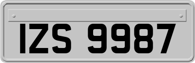 IZS9987