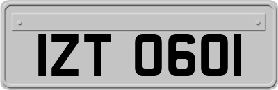 IZT0601