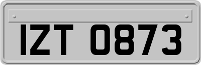 IZT0873