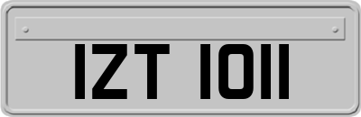 IZT1011