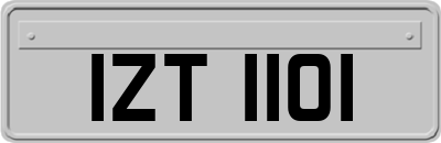 IZT1101
