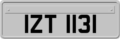 IZT1131
