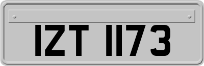 IZT1173