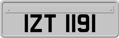 IZT1191