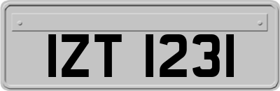 IZT1231