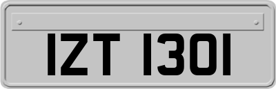 IZT1301