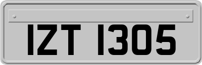 IZT1305