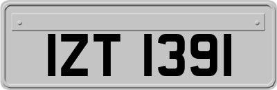 IZT1391
