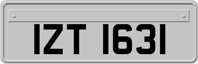 IZT1631