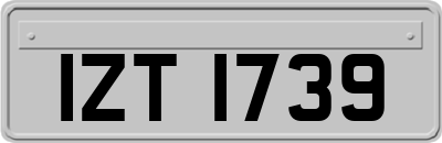 IZT1739