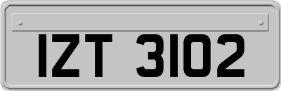 IZT3102