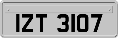 IZT3107
