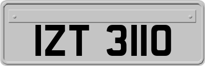IZT3110