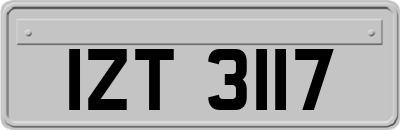 IZT3117