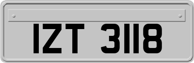 IZT3118