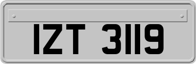 IZT3119