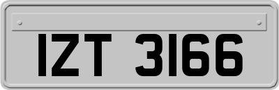 IZT3166